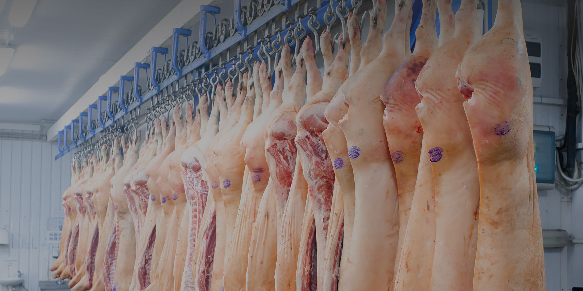 新鮮食品解決方案