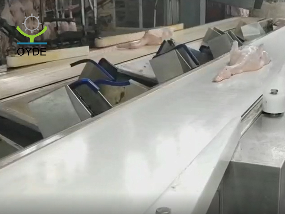 生鮮海產(chǎn) 雞鴨魚類 皮帶式重量分選機(jī)