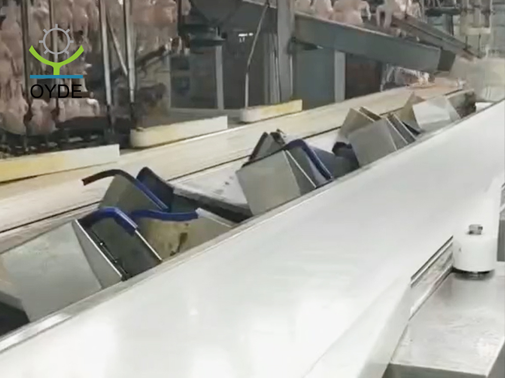 皮帶分級(jí)稱3