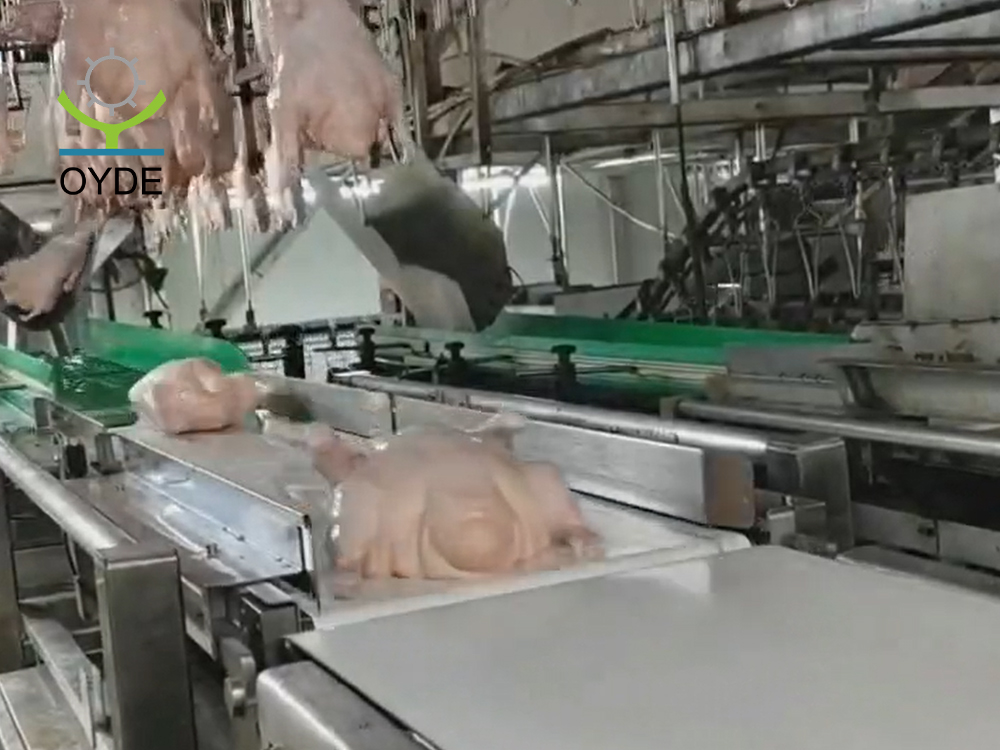 皮帶分級(jí)稱4